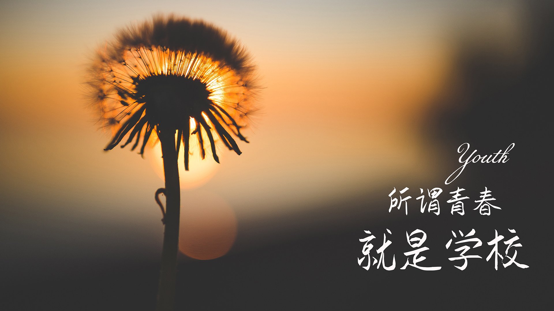 爱游戏app安装-中国篮球教练员战术执行力提升路径及培训方法,篮球教练技能展示